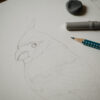 Ilustracja 03 <strong>Kardynał</strong> - obrazek 7
