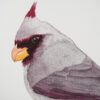 Ilustracja 03 <strong>Kardynał</strong> - obrazek 5