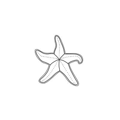 Rozgwiazdy - srebrne kolczyki z morskim zwierzakiem